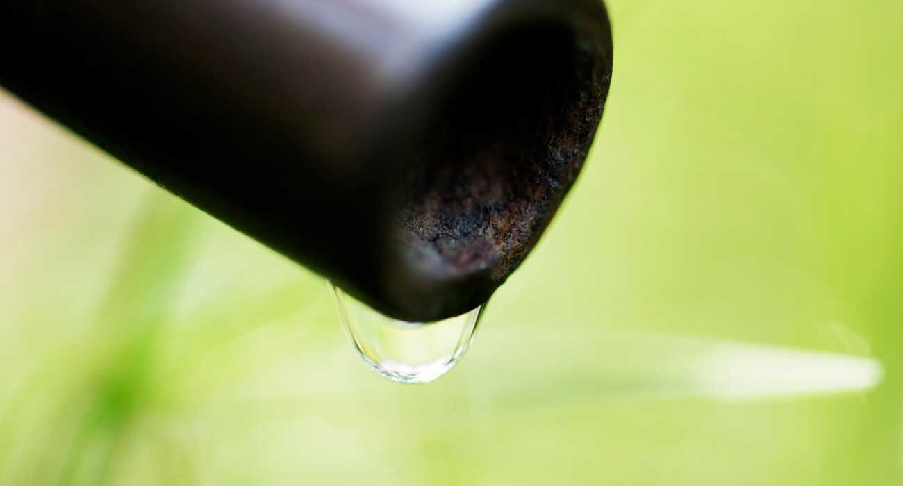 Finding Hidden Leaks in NYC Apartments with Video Inspections